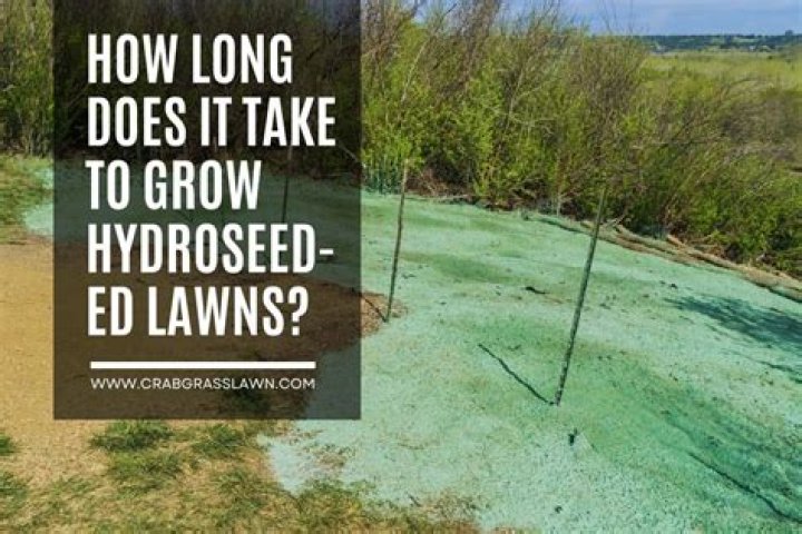 How long does it take for fertilizer to soak in?