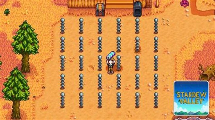 How long does it take to duplicate a diamond Stardew Valley?