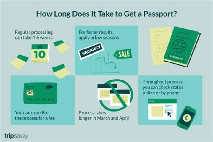 How long does it take to get your 1st SS check?