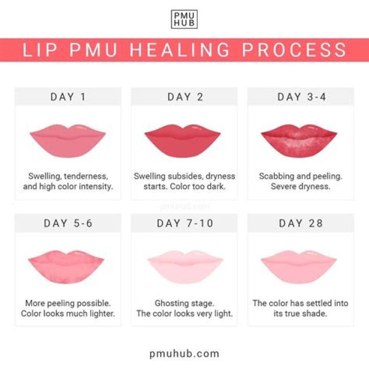 How long does lip blushing take to heal?