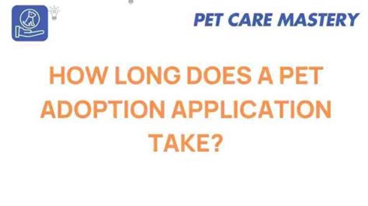 How long does TIN application take?