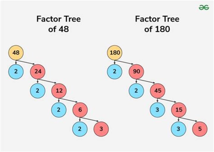 How many factor does a number has?