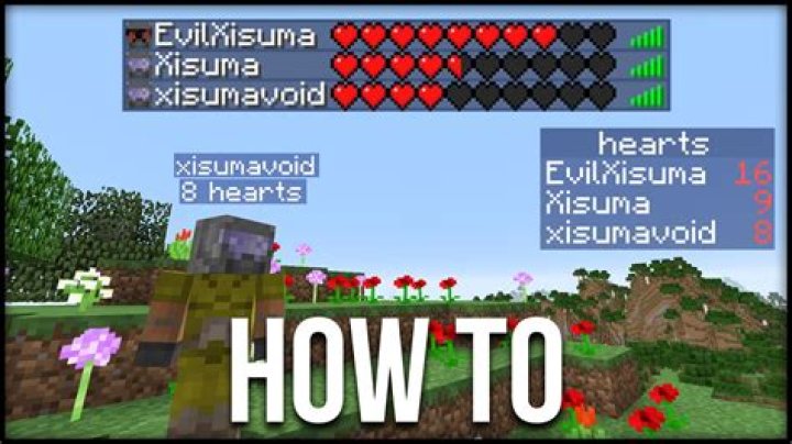 How many hearts does Minecraft Steve have?
