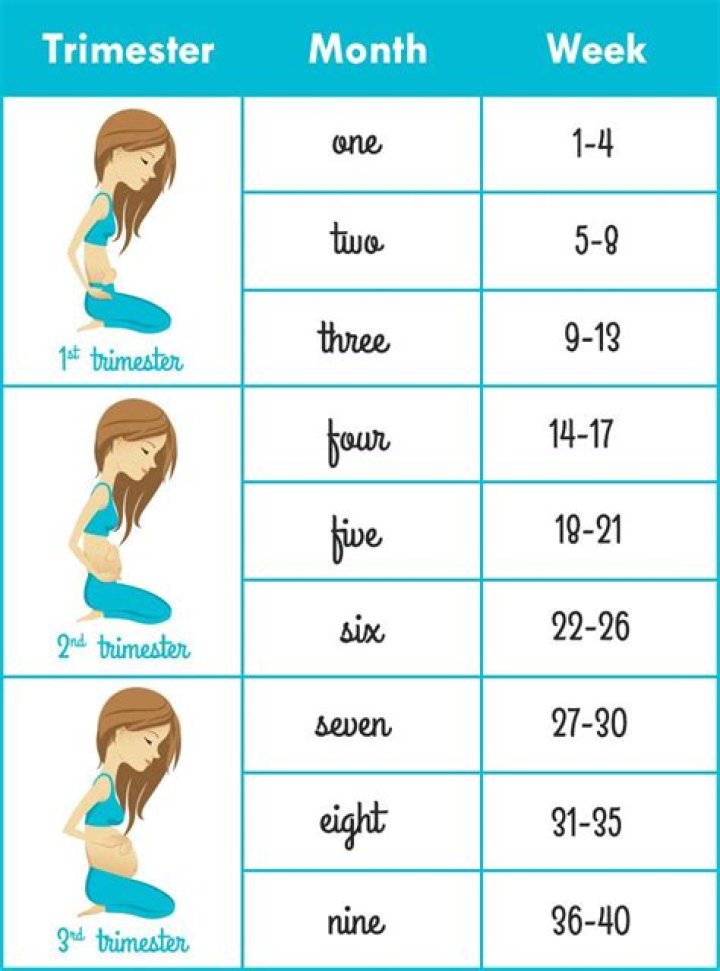 How many months is 9 weeks pregnant?