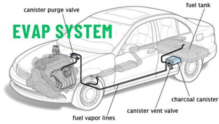 How much does an EVAP leak test cost?