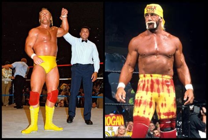 How Much Does Hulk Hogan make a year?