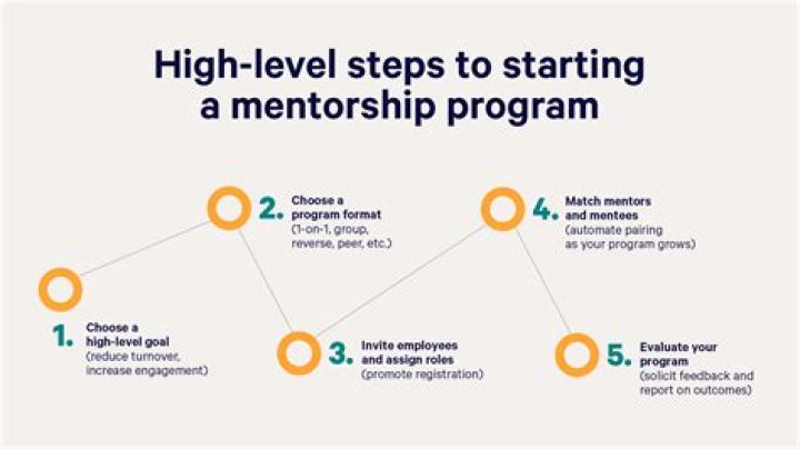How much does it cost to start a mentorship program?