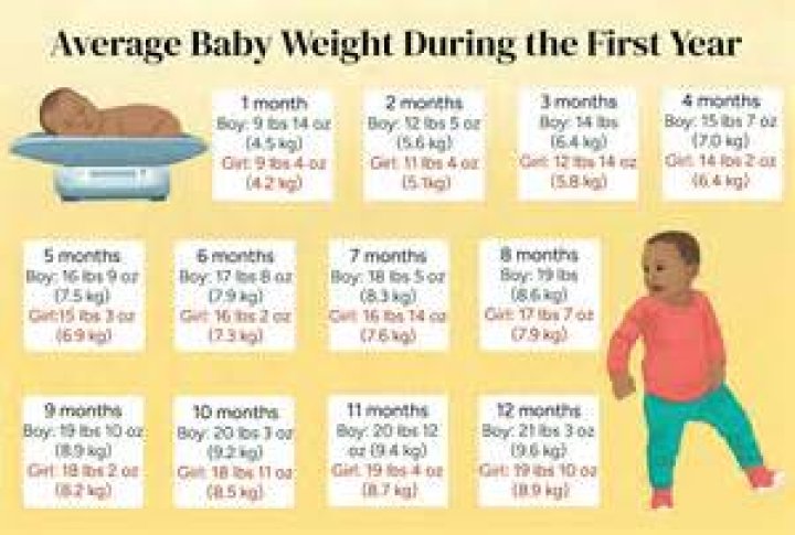 How much does the average gymnast weigh?