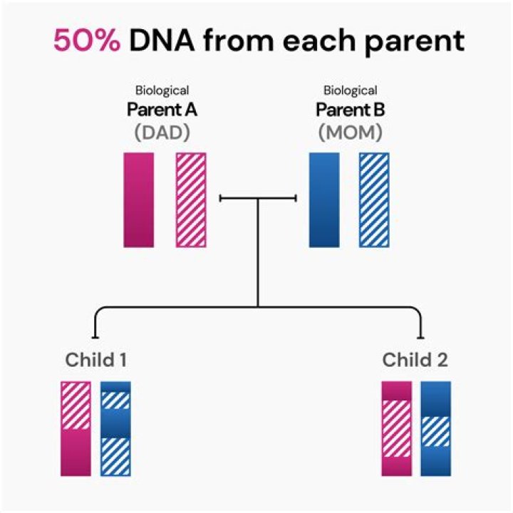 How much is a DNA parent test?