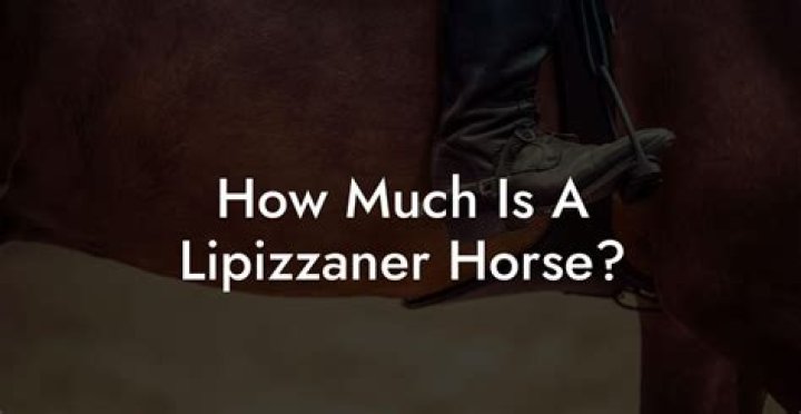How much is a pony worth in slang?