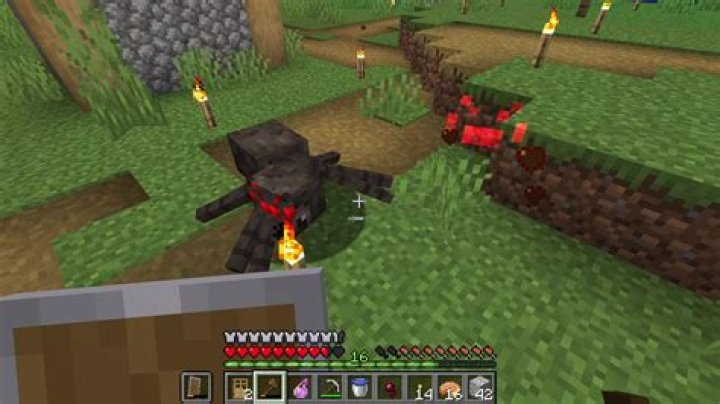 How rare is an invisible spider Minecraft?