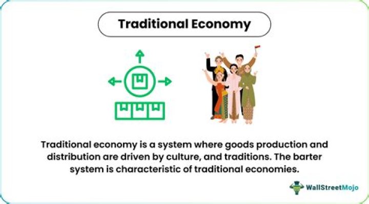 How resources are allocated and distributed in a command economy?