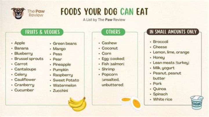 How should new dogs be introduced?