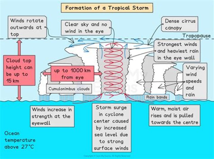 How storms affect trees?