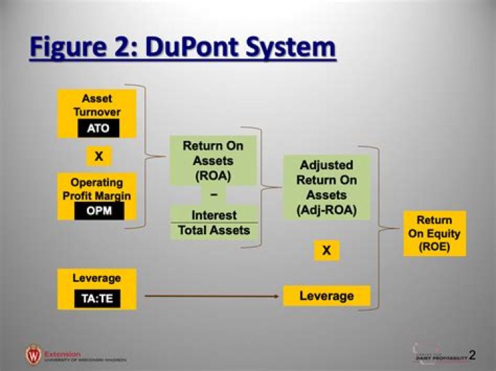 How the DuPont system of analysis breaks down return on assets?