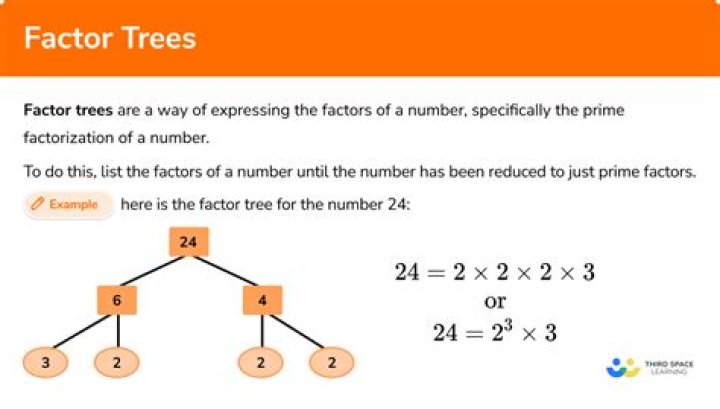 How to use factor trees to find factorizations?