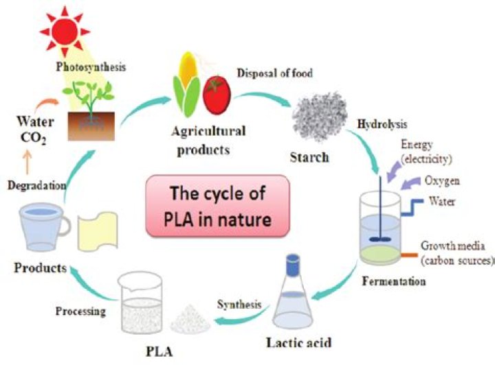 In what conditions does PLA biodegrade?