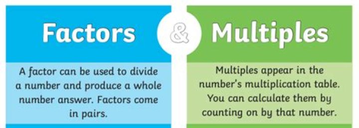 Is 1 a multiple or factor?
