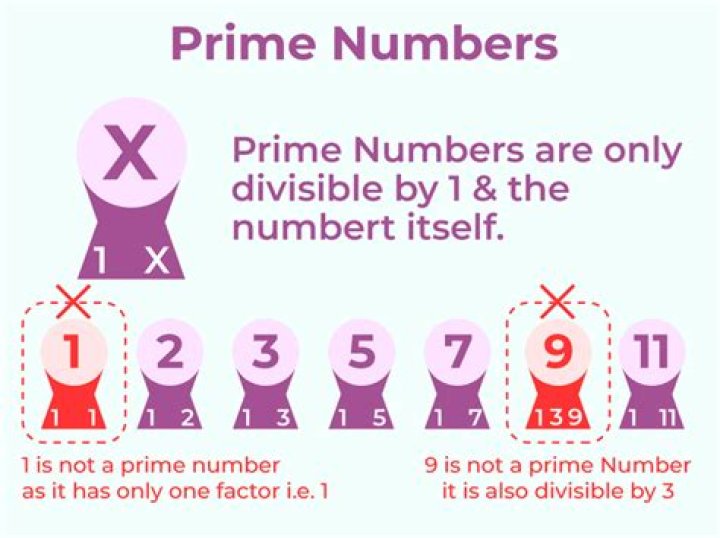 Is 1 a prime number True or false?