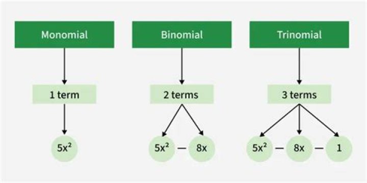 Is 3a squared a monomial?
