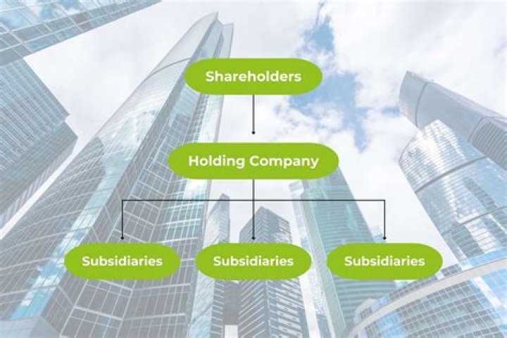 Is a holding company right for your client?