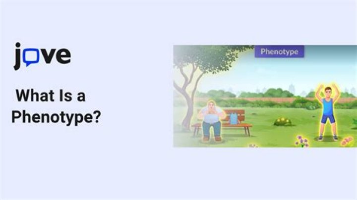 Is a phenotype?