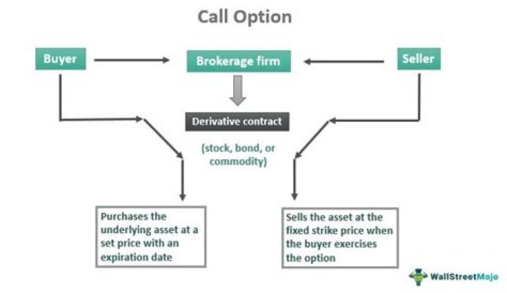 Is a put and call option a contract?