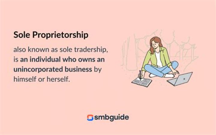 Is a school a sole proprietorship?