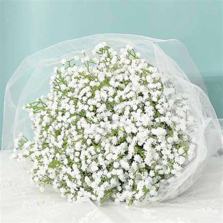 Is babys breath in style?