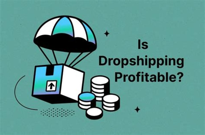 Is dropshipping still profitable 2021?