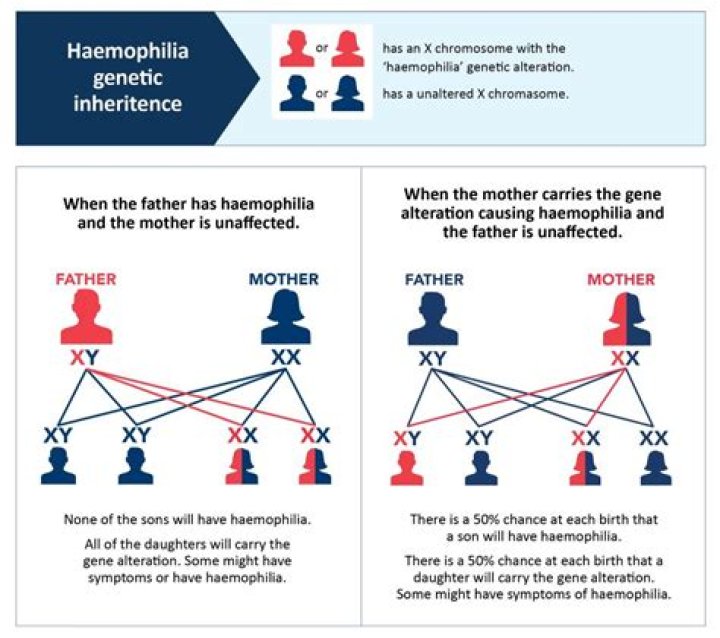 Is eczema genetically inherited?