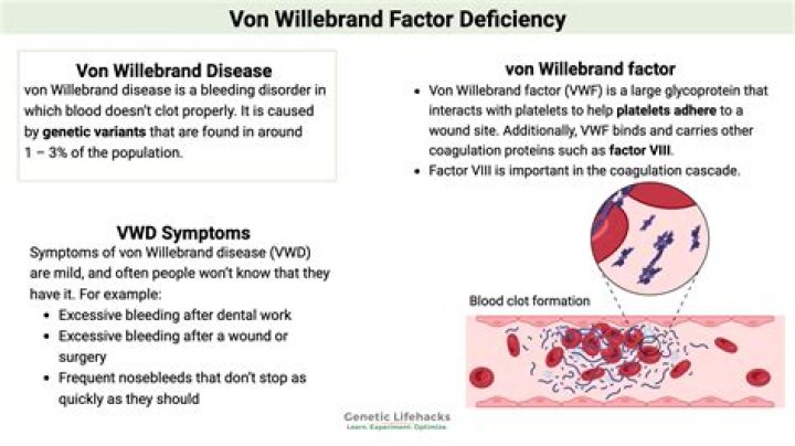 Is factor VIII von Willebrand factor?