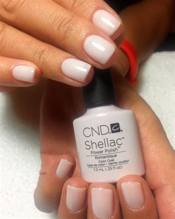 Is French polish shellac?