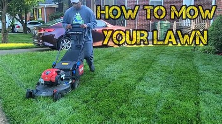 Is it better to pull weeds or mow them?