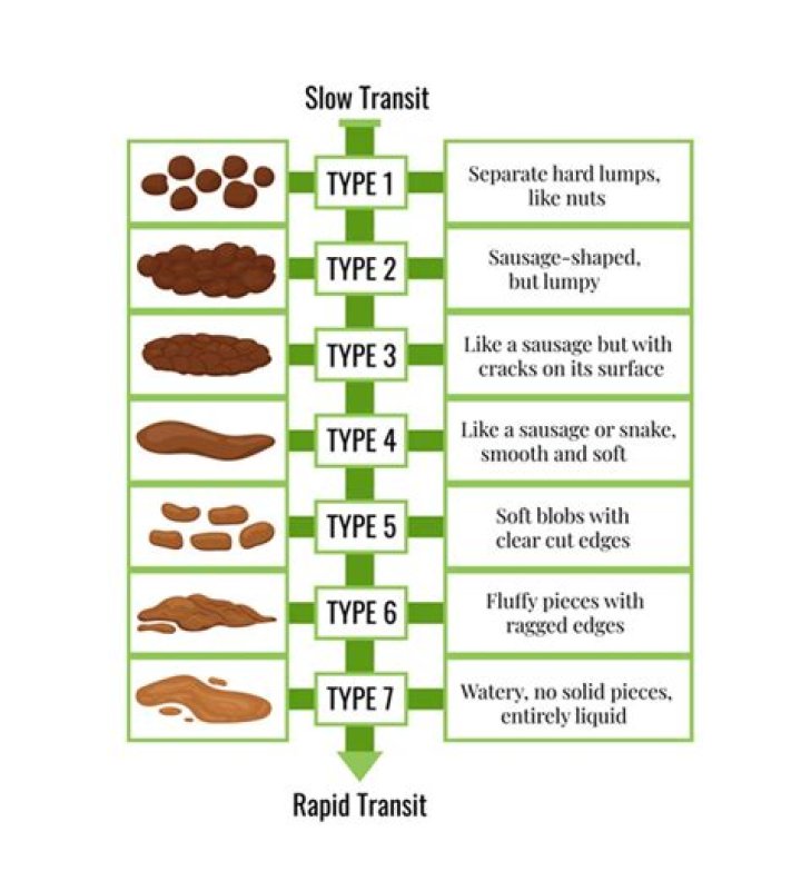 Is it normal to have roaches in compost?