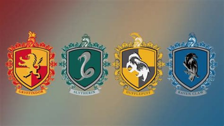 Is it possible to be in every Hogwarts house?