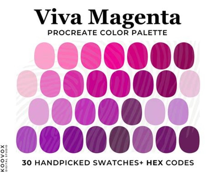 Is magenta a fuchsia?
