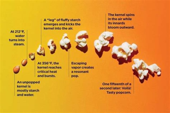Is microwave popcorn different than regular popcorn?