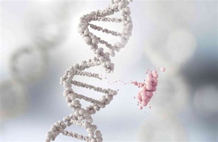 Is Pangenesis real?