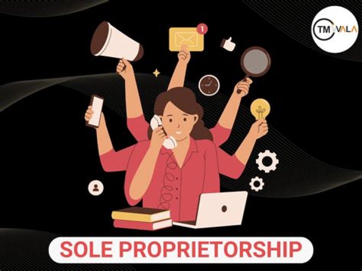 Is Schedule C for sole proprietor?
