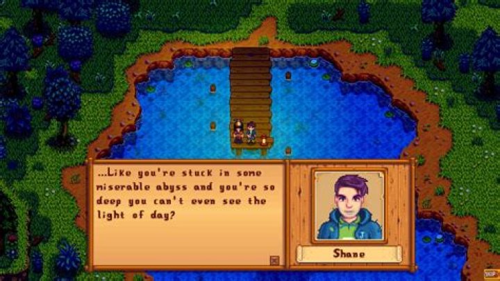 Is Sebastian depressed Stardew?