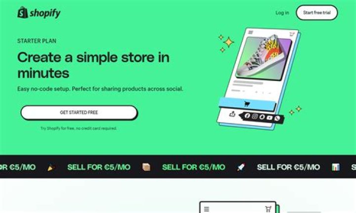 Is Shopify just for ecommerce?
