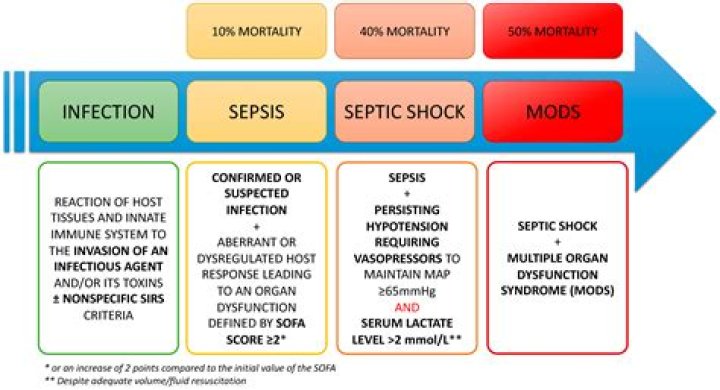 Is there a difference between sepsis and severe sepsis?