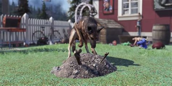 Is there a dog in Dune book?