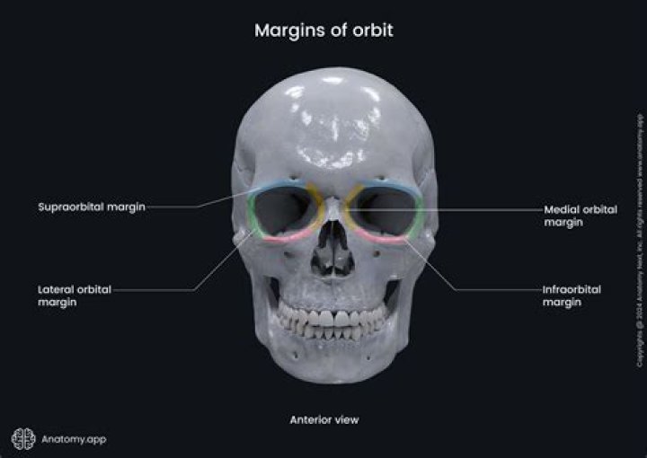Is there a max margin CSS?