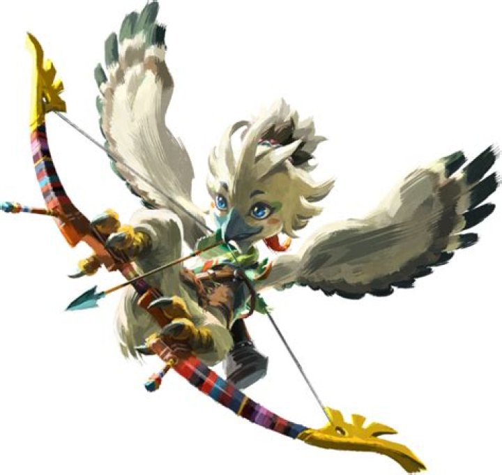Is there a Rito shield?