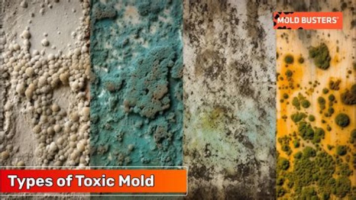 Is washed cotton toxic?