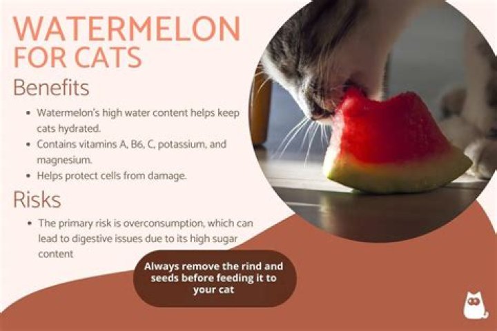 Is watermelon safe for cats?