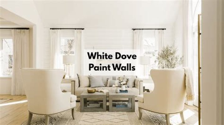 Is white dove off-white?