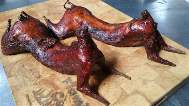 Is wild rabbit meat healthy?